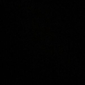 Meet your Posher, Joni